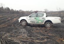 Arrendatário é multado em mais de R$ 660 mil por incêndio em vegetação