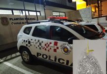 Polícia Militar apreende adolescente com 260 porções de crack em Cardoso