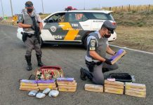 Passageiro de ônibus é preso após ser flagrado com maconha e skunk na Rodovia Marechal Rondon