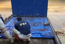 Homem é preso após ser flagrado com cerca de uma tonelada de maconha em fundo falso de caminhão