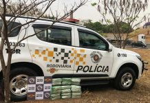 Passageiro de ônibus é preso após ser flagrado com 38 tabletes de maconha na Rodovia Washington Luís