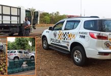 Caminhoneiro é preso após ser flagrado com mais de 600 quilos de cocaína em rodovia de Catiguá