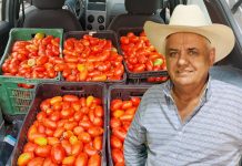 Produtor de Parisi: grande parceiro da Santa Casa