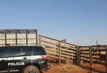 Empresário é procurado por suspeita de roubo de gado na região de José Bonifácio