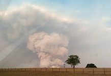 Queimada atinge área de 260 hectares às margens da rodovia BR-153