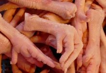 Inflação: antes rejeitado, pé de frango agora é a ‘carne possível’