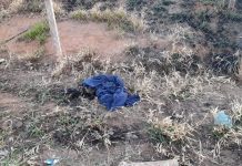 Suspeito de ataque em Araçatuba é encontrado morto em Sumaré