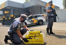 Passageiro de ônibus é preso ao ser flagrado com tijolos de maconha em rodovia de Penápolis