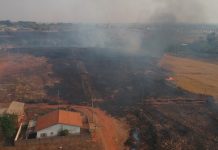 Corpo de Bombeiros combate queimadas em áreas de pastagens em Rio Preto