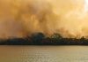Queimada de grandes proporções atinge ilha às margens do Rio Paraná em Castilho