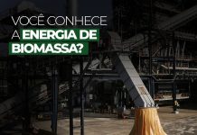Notícias da SEARVO: Você conhece a energia de biomassa?