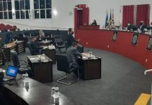 Projeto que obriga motorista que atropelar animal a prestar socorro é rejeitado na Câmara