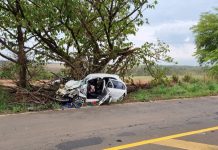 Motorista morre após bater na traseira de caminhão, perder controle da direção e atingir árvore