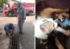 Gata e filhotes são resgatados de dentro de bueiro em Novo Horizonte