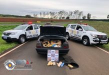 Casal é preso com tijolos de maconha em rodovia de Tanabi