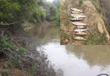 Polícia Ambiental encontra peixes mortos em rio de Pontalinda