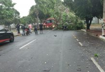 Morre motociclista atingido por árvore durante tempestade em Araçatuba