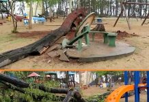 Temporal derruba árvore na Cidade de Criança em Ilha Solteira