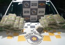 Mulher é presa após ser flagrada com pacotes de maconha na Rodovia Washington Luís em Rio Preto