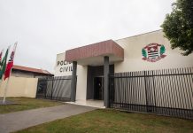 Cachorro é morto com tiro na cabeça em Cardoso