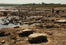 Agricultores da região rezam para que chuvas continuem