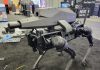 Cão robô armado com rifle: empresa mostra equipamento nos EUA