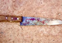 Homem é preso suspeito de matar irmão com facada durante briga em Castilho