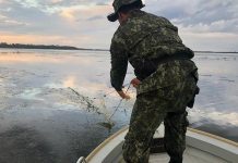 Piracema começa nesta segunda-feira, 1º de novembro