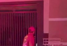 Jacaré é capturado no portão de casa em Buritama