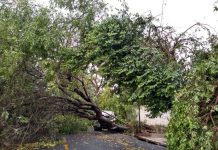 Temporal causa estragos e assusta moradores de Engenheiro Schmitt