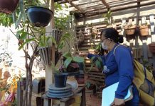 Secretaria da Saúde mobiliza sociedade contra o Aedes aegypti no “Mês D de Combate”