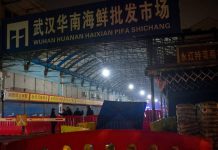 Coronavírus: ‘Paciente zero’ veio de mercado de Wuhan e vendia frutos do mar, diz estudo