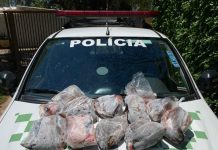 Polícia Ambiental apreende mais de 100 quilos de pescado durante Operação Piracema