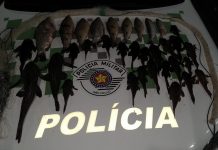 Trio é multado em R$ 7 mil por pesca com tarrafa no São José dos Dourados