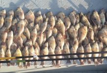 Homens são multados em mais de R$ 4 mil por pescar quantidade superior à permitida em Riolândia