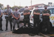 Integração: polícias Ambiental e Rodoviária operam juntas, prendem traficante e 94kg de maconha