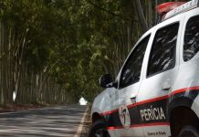 Jovem morre eletrocutado enquanto colhia limão em Itajobi