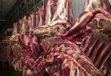 China aceitará carne bovina do Brasil certificada até de 4 de setembro