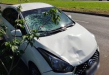Mulher morre após ser atropelada por carro em avenida de Rio Preto