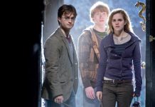 Direito e Cinema – take 28: Harry Potter: o herói, a política e o direito