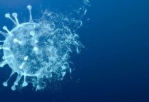 Estado de SP não tem registros de casos da nova variante ômicron, diz governo