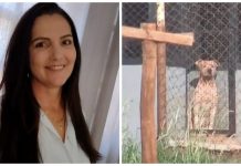 Polícia conclui que morte de costureira atacada por pitbulls em chácara foi fatalidade