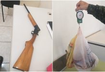 Homem é multado em R$ 3,5 mil após polícia apreender arma e carnes de caça em Ibirá
