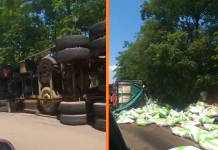 Caminhão carregado com ração tomba em rodovia de Santa Fé do Sul