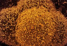 Brasil tem 45 casos confirmados da variante Ômicron