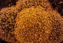 Ômicron: Brasil tem 19 casos confirmados e investiga sete