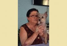Falece Neide Faccin Alves, aos 77 anos