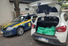 Homem é preso após ser flagrado com agrotóxicos proibidos pela Anvisa na BR-153 em Rio Preto