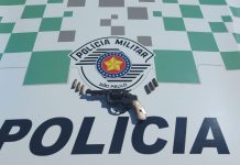 Homem é preso por porte ilegal de arma de fogo em Populina