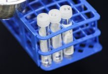 Variante Ômicron não dá sinais de causar casos mais graves de Covid-19